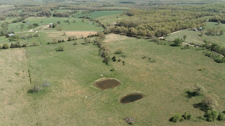 75 Acres of Fenced Pasture w/ 3 Ponds Minutes from 2 Rivers - image 1