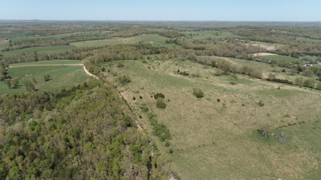 75 Acres of Fenced Pasture w/ 3 Ponds Minutes from 2 Rivers - image 5