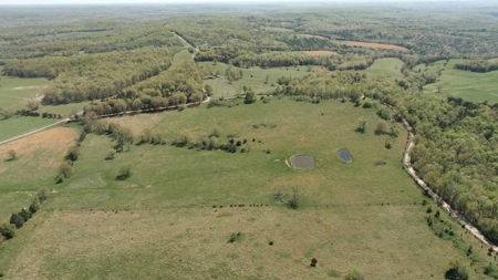 75 Acres of Fenced Pasture w/ 3 Ponds Minutes from 2 Rivers - image 3