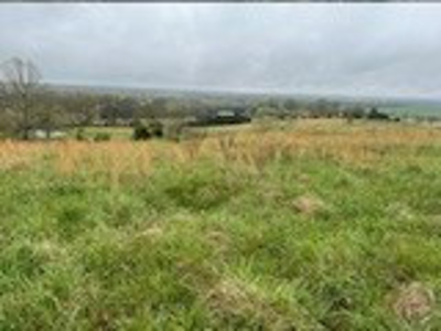 75 Acres of Fenced Pasture w/ 3 Ponds Minutes from 2 Rivers - image 8