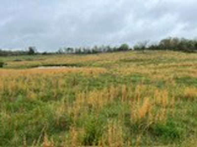 75 Acres of Fenced Pasture w/ 3 Ponds Minutes from 2 Rivers - image 11