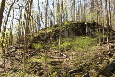 Wooded Building Lot for Sale in Roanoke VA - image 8