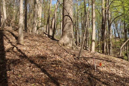 Wooded Building Lot for Sale in Roanoke VA - image 25