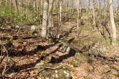 Wooded Building Lot for Sale in Roanoke VA - image 22
