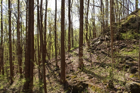 Wooded Building Lot for Sale in Roanoke VA - image 7