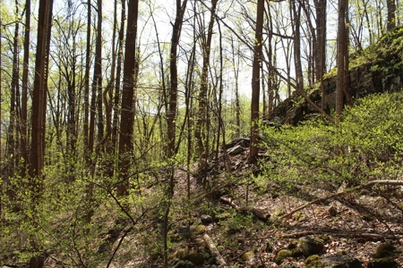 Wooded Building Lot for Sale in Roanoke VA - image 10