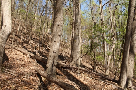 Wooded Building Lot for Sale in Roanoke VA - image 26