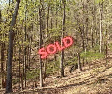 Wooded Building Lot for Sale in Roanoke VA - image 27