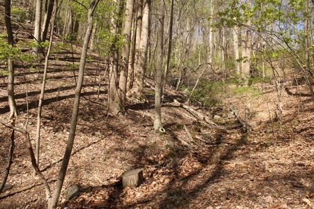 Wooded Building Lot for Sale in Roanoke VA - image 24