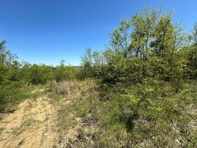 Prime Building lot in Monticello, Kentucky - image 16