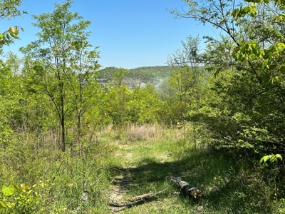 Prime Building lot in Monticello, Kentucky - image 8