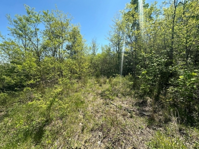 Prime Building lot in Monticello, Kentucky - image 11
