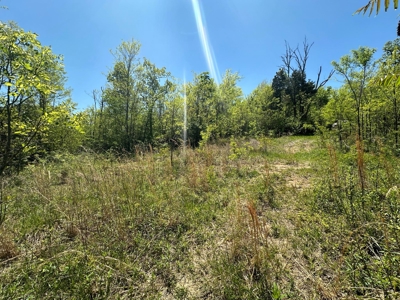 Prime Building lot in Monticello, Kentucky - image 26