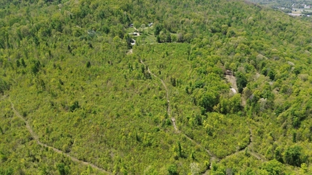 Prime Building lot in Monticello, Kentucky - image 23