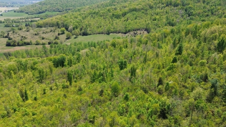 Prime Building lot in Monticello, Kentucky - image 18