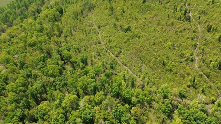 Prime Building lot in Monticello, Kentucky - image 2