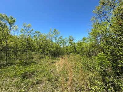 Prime Building lot in Monticello, Kentucky - image 13