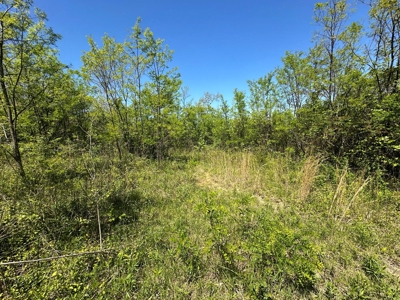 Prime Building lot in Monticello, Kentucky - image 10