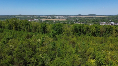 Prime Building lot in Monticello, Kentucky - image 22
