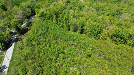 Prime Building lot in Monticello, Kentucky - image 24