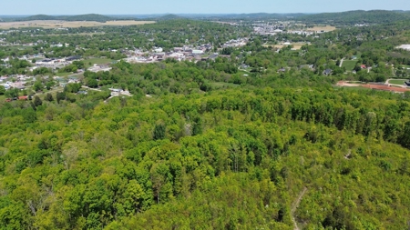 Prime Building lot in Monticello, Kentucky - image 15