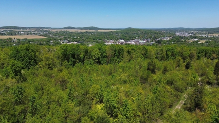 Prime Building lot in Monticello, Kentucky - image 21