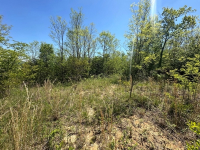 Prime Building lot in Monticello, Kentucky - image 4