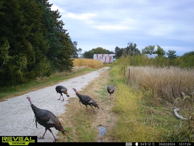 Nebraska Hunting and Recreational Property For Sale - image 42