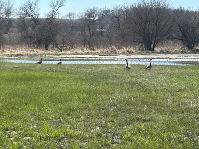 Nebraska Hunting and Recreational Property For Sale - image 11