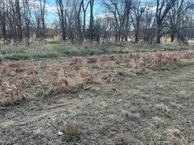 Nebraska Hunting and Recreational Property For Sale - image 12