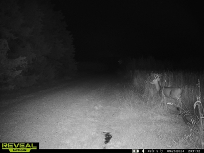Nebraska Hunting and Recreational Property For Sale - image 40