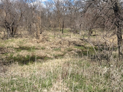 Nebraska Hunting and Recreational Property For Sale - image 4