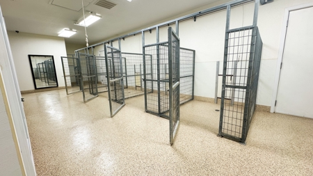 For Auction: Premier Commercial Kennel Facility - image 48