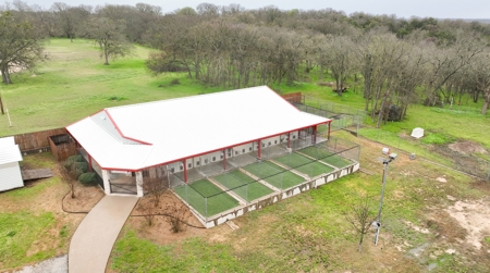 For Auction: Premier Commercial Kennel Facility - image 5