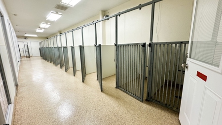 For Auction: Premier Commercial Kennel Facility - image 47