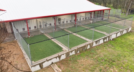 For Auction: Premier Commercial Kennel Facility - image 46