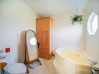 Equine acreage near Lincoln, Nebraska! - image 14