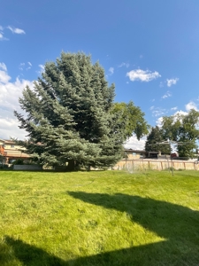 Country Home W/Fenced Yards & Gardens In Missoula Montana - image 8