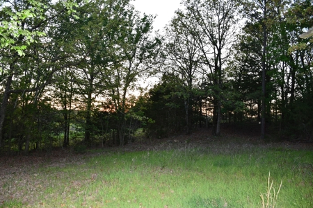 Acreage & Country Home Bounding National Forest For Sale - image 26