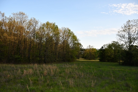 Acreage & Country Home Bounding National Forest For Sale - image 35