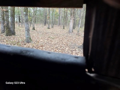 Acreage & Country Home Bounding National Forest For Sale - image 37