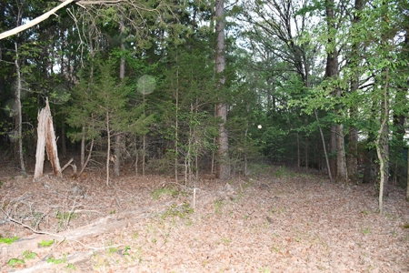 Acreage & Country Home Bounding National Forest For Sale - image 25
