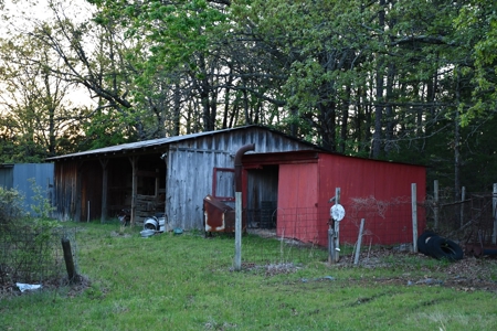 Acreage & Country Home Bounding National Forest For Sale - image 20
