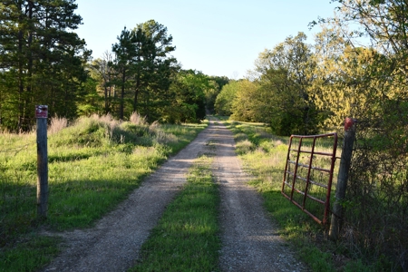 Acreage & Country Home Bounding National Forest For Sale - image 2