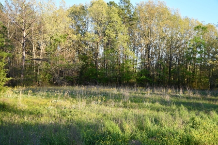 Acreage & Country Home Bounding National Forest For Sale - image 4