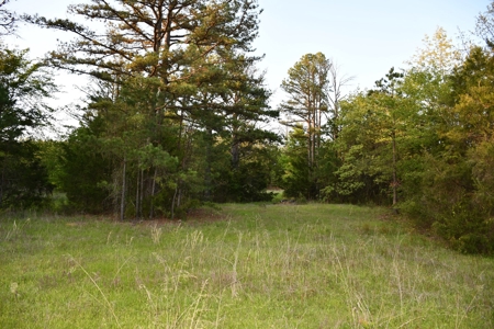Acreage & Country Home Bounding National Forest For Sale - image 6