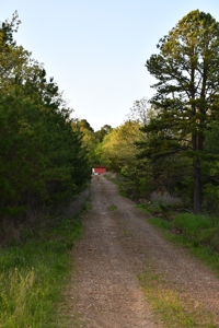 Acreage & Country Home Bounding National Forest For Sale - image 33