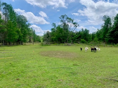 7. 4 acres Franklin County Camp, Shop and Pond  Near HNF - image 12