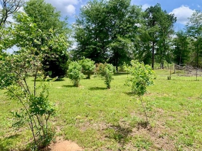 7. 4 acres Franklin County Camp, Shop and Pond  Near HNF - image 13