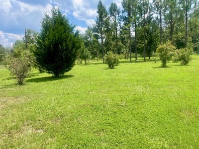 7. 4 acres Franklin County Camp, Shop and Pond  Near HNF - image 40